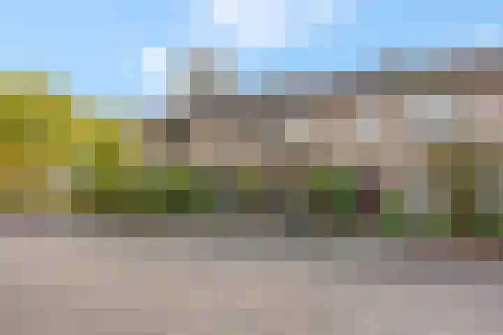 Fazantstraat 3 Wijchen thumbnail 54