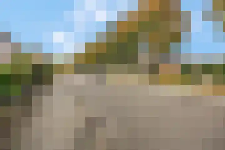 Fazantstraat 3 Wijchen thumbnail 56