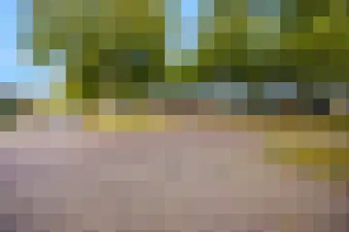 Fazantstraat 3 Wijchen thumbnail 57