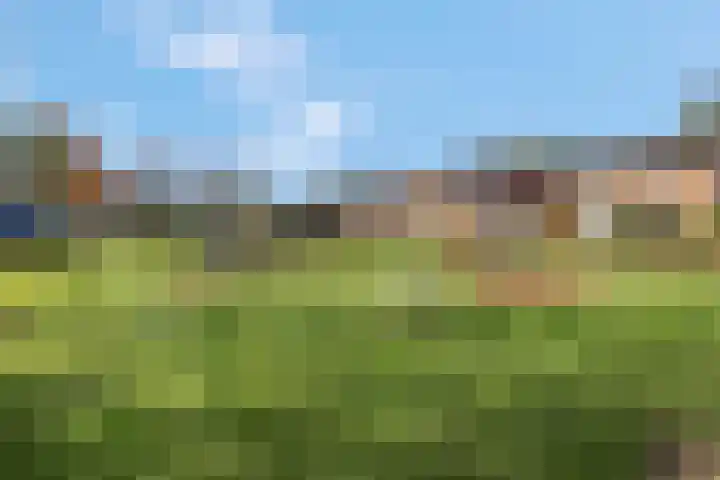 Fazantstraat 3 Wijchen thumbnail 58