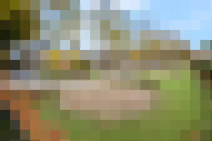 Fazantstraat 3 Wijchen thumbnail 59