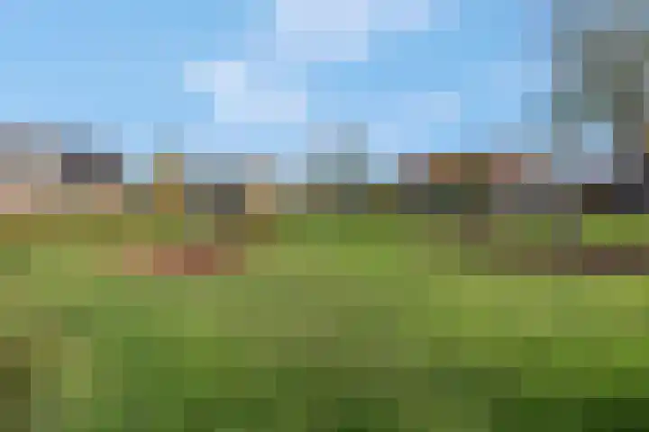 Fazantstraat 3 Wijchen thumbnail 60