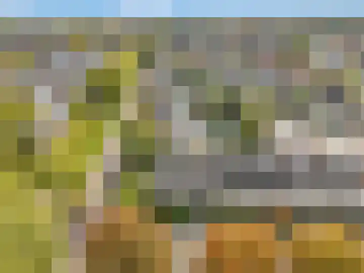 Fazantstraat 3 Wijchen thumbnail 61