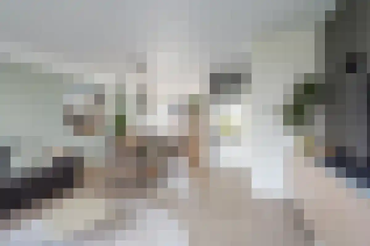 Fazantstraat 30 Lisse thumbnail 5
