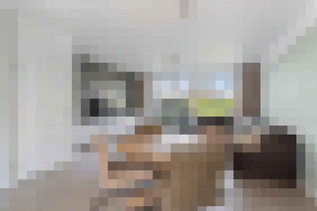 Fazantstraat 30 Lisse thumbnail 6