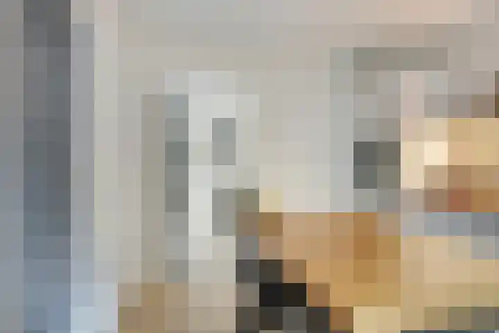 Fazantstraat 31 Bergen L thumbnail 12