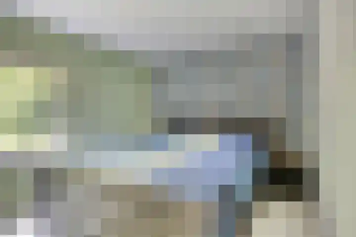 Fazantstraat 31 Bergen L thumbnail 17