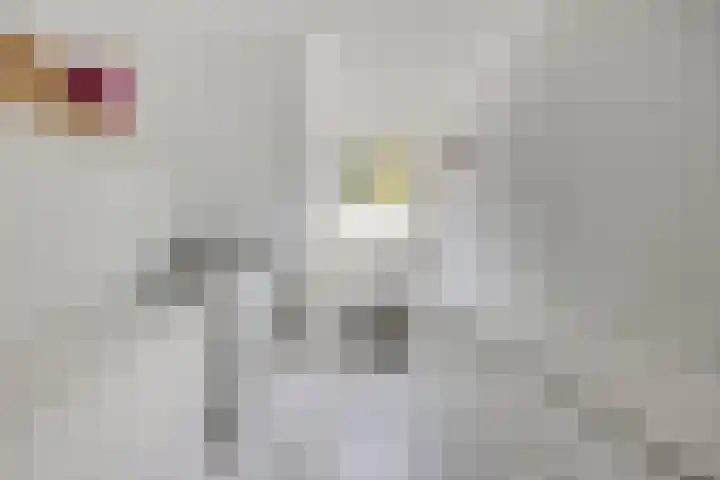 Fazantstraat 31 Bergen L thumbnail 20