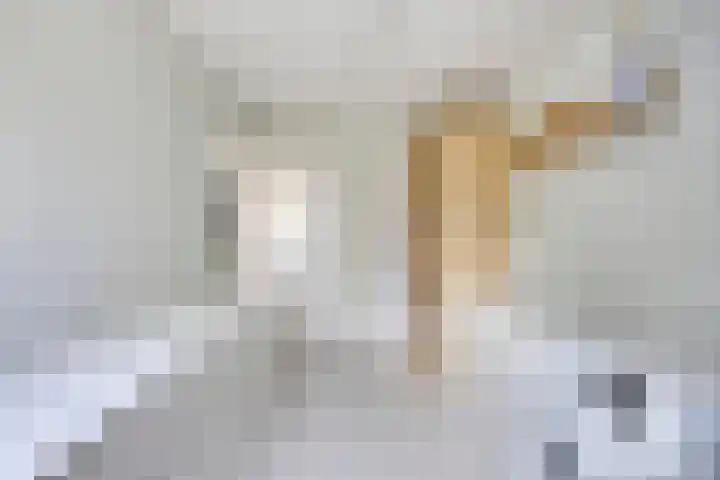 Fazantstraat 31 Bergen L thumbnail 21