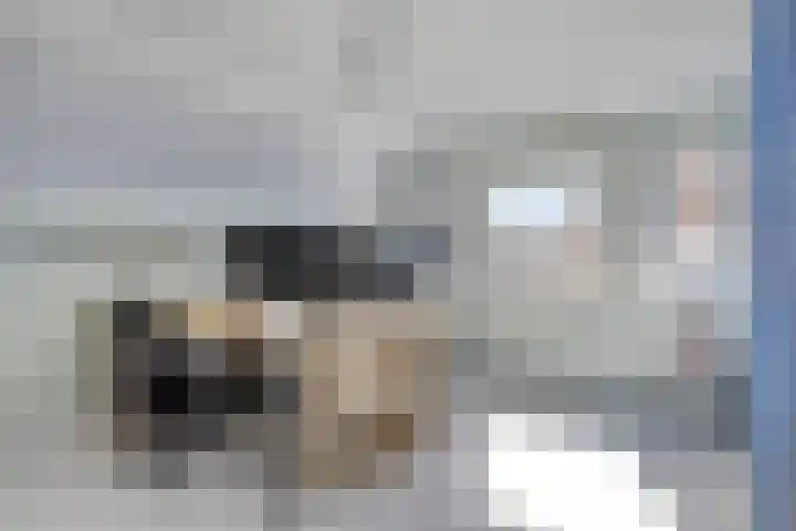 Fazantstraat 31 Bergen L thumbnail 22