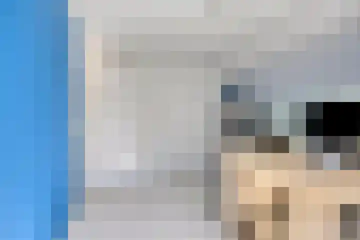 Fazantstraat 31 Bergen L thumbnail 23