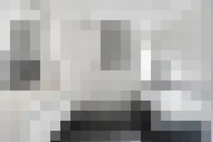 Fazantstraat 31 Bergen L thumbnail 24