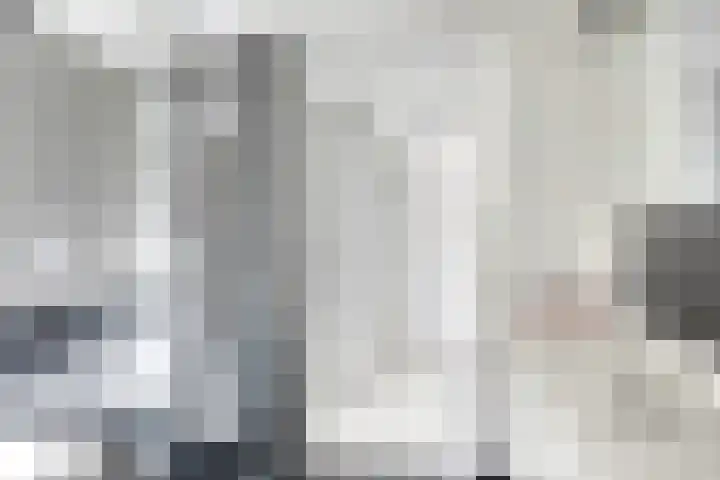 Fazantstraat 31 Bergen L thumbnail 27