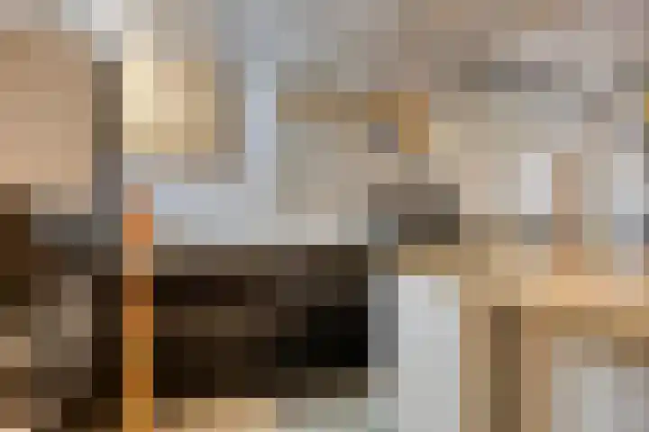 Fazantstraat 31 Bergen L thumbnail 32