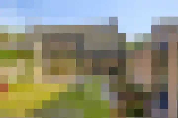 Fazantstraat 31 Bergen L thumbnail 33