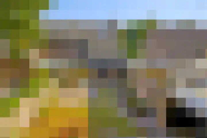 Fazantstraat 31 Bergen L thumbnail 34