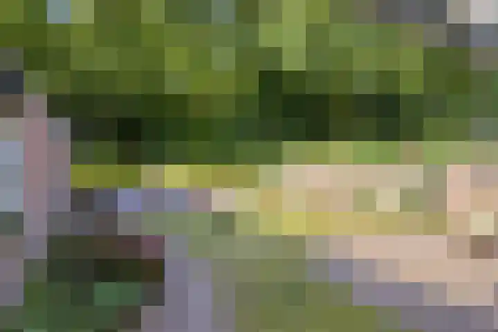 Fazantstraat 31 Bergen L thumbnail 35