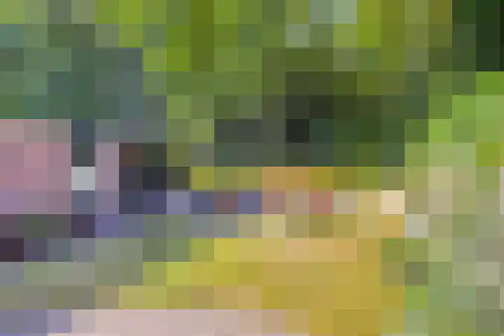 Fazantstraat 31 Bergen L thumbnail 37
