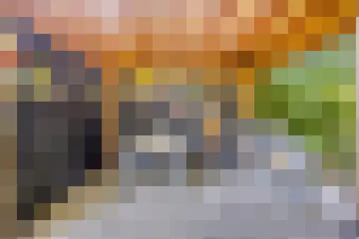 Fazantstraat 31 Bergen L thumbnail 39
