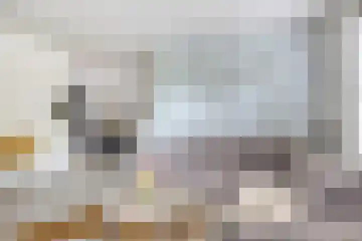 Fazantstraat 31 Bergen L thumbnail 4