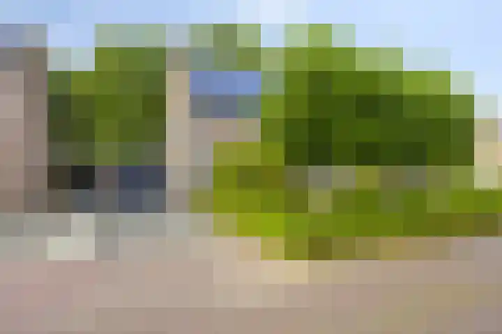 Fazantstraat 31 Bergen L thumbnail 40