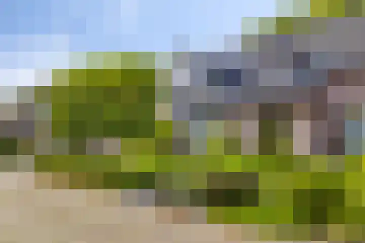 Fazantstraat 31 Bergen L thumbnail 41