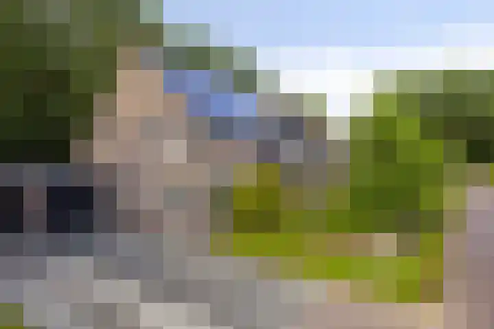 Fazantstraat 31 Bergen L thumbnail 43