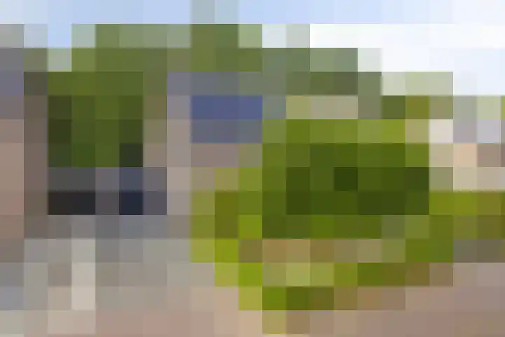 Fazantstraat 31 Bergen L thumbnail 44