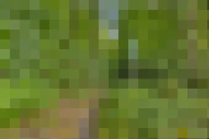 Fazantstraat 31 Bergen L thumbnail 45