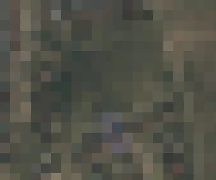 Fazantstraat 31 Bergen L thumbnail 47