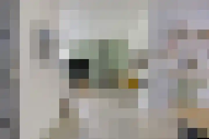 Fazantstraat 31 Bergen L thumbnail 5