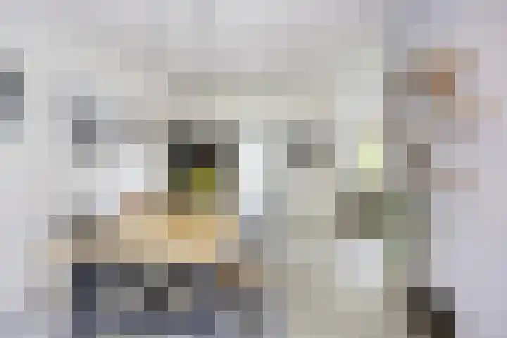 Fazantstraat 31 Bergen L thumbnail 7
