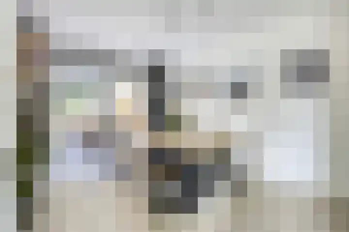Fazantstraat 31 Bergen L thumbnail 8