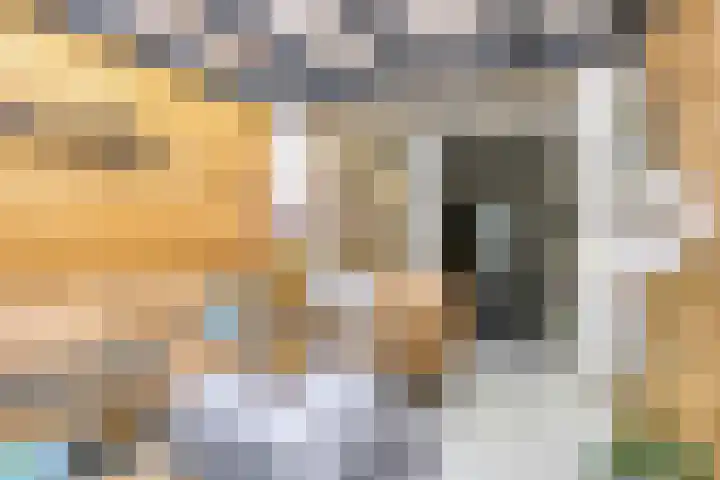 Fazantstraat 31 Bergen L thumbnail 9