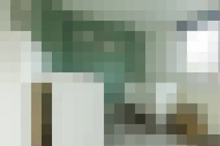 Fazantstraat 31 Numansdorp thumbnail 18