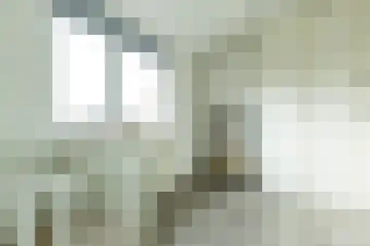 Fazantstraat 31 Numansdorp thumbnail 20