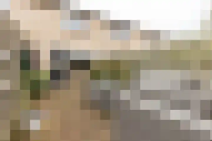 Fazantstraat 31 Numansdorp thumbnail 21
