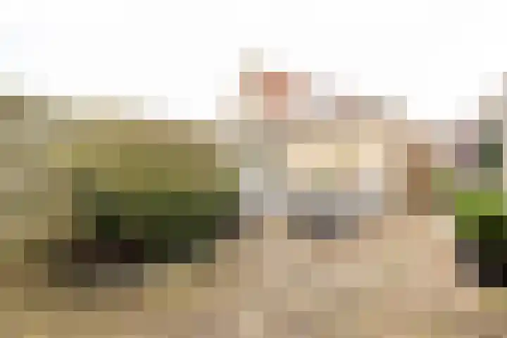 Fazantstraat 31 Numansdorp thumbnail 22