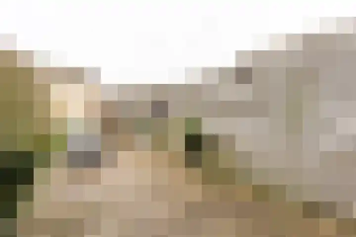 Fazantstraat 31 Numansdorp thumbnail 23