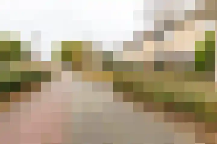 Fazantstraat 31 Numansdorp thumbnail 24