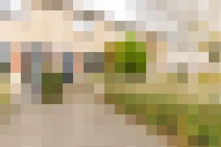 Fazantstraat 31 Numansdorp thumbnail 25
