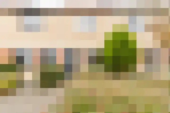 Fazantstraat 31 Numansdorp thumbnail 26