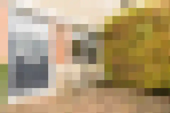 Fazantstraat 31 Numansdorp thumbnail 27