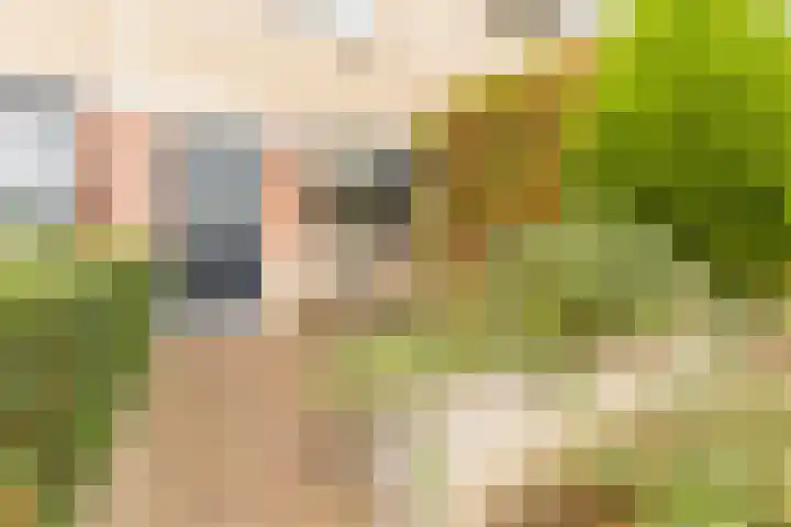 Fazantstraat 31 Numansdorp thumbnail 28