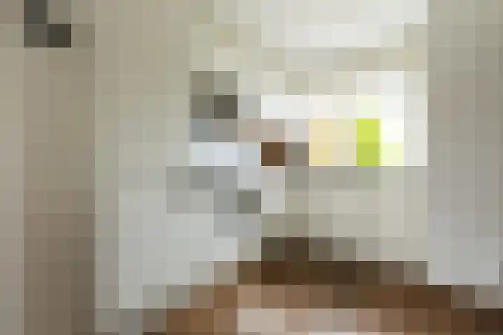 Fazantstraat 31 Numansdorp thumbnail 4