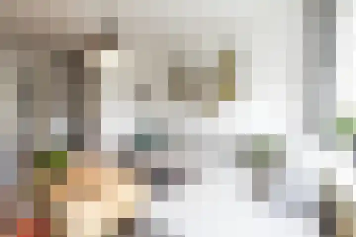 Fazantstraat 31 Numansdorp thumbnail 7