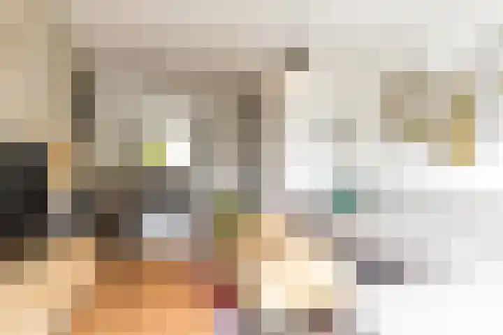 Fazantstraat 31 Numansdorp thumbnail 8