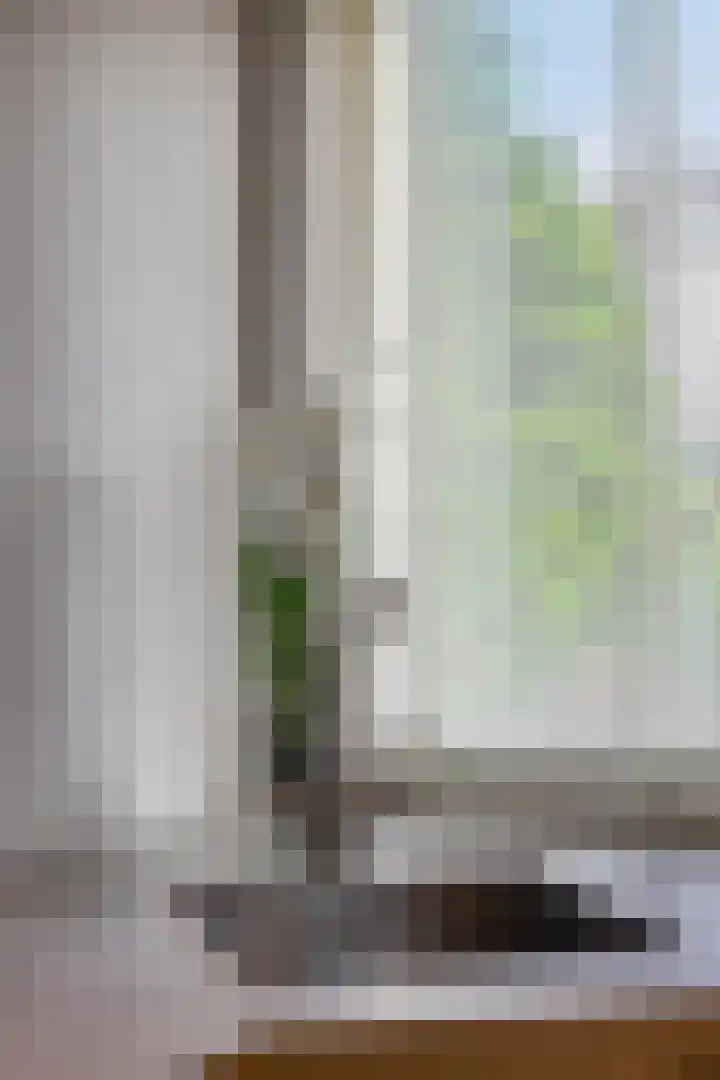 Fazantstraat 35 Helmond thumbnail 22