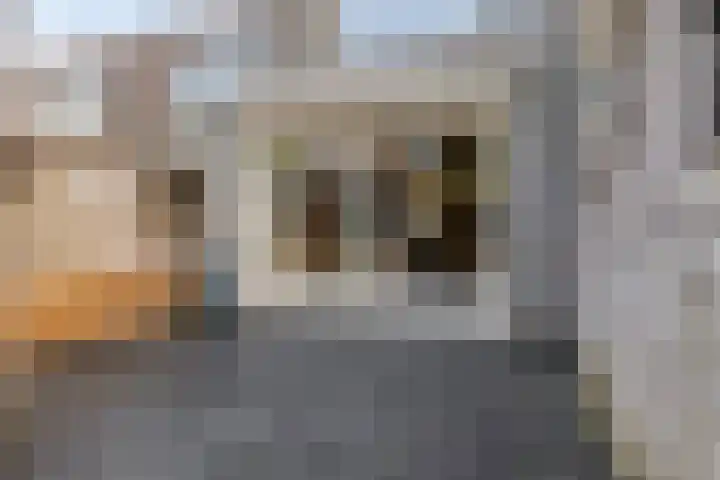 Fazantstraat 35 Helmond thumbnail 33