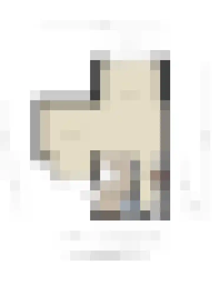 Fazantstraat 35 Helmond thumbnail 38